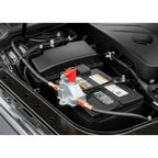 Corta Corriente 2 Pines 12v 24v