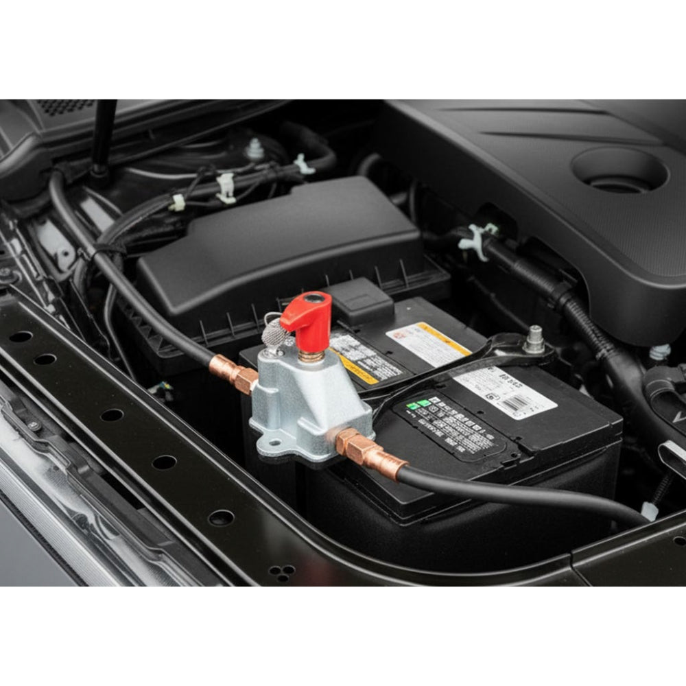 Corta Corriente 2 Pines 12v 24v