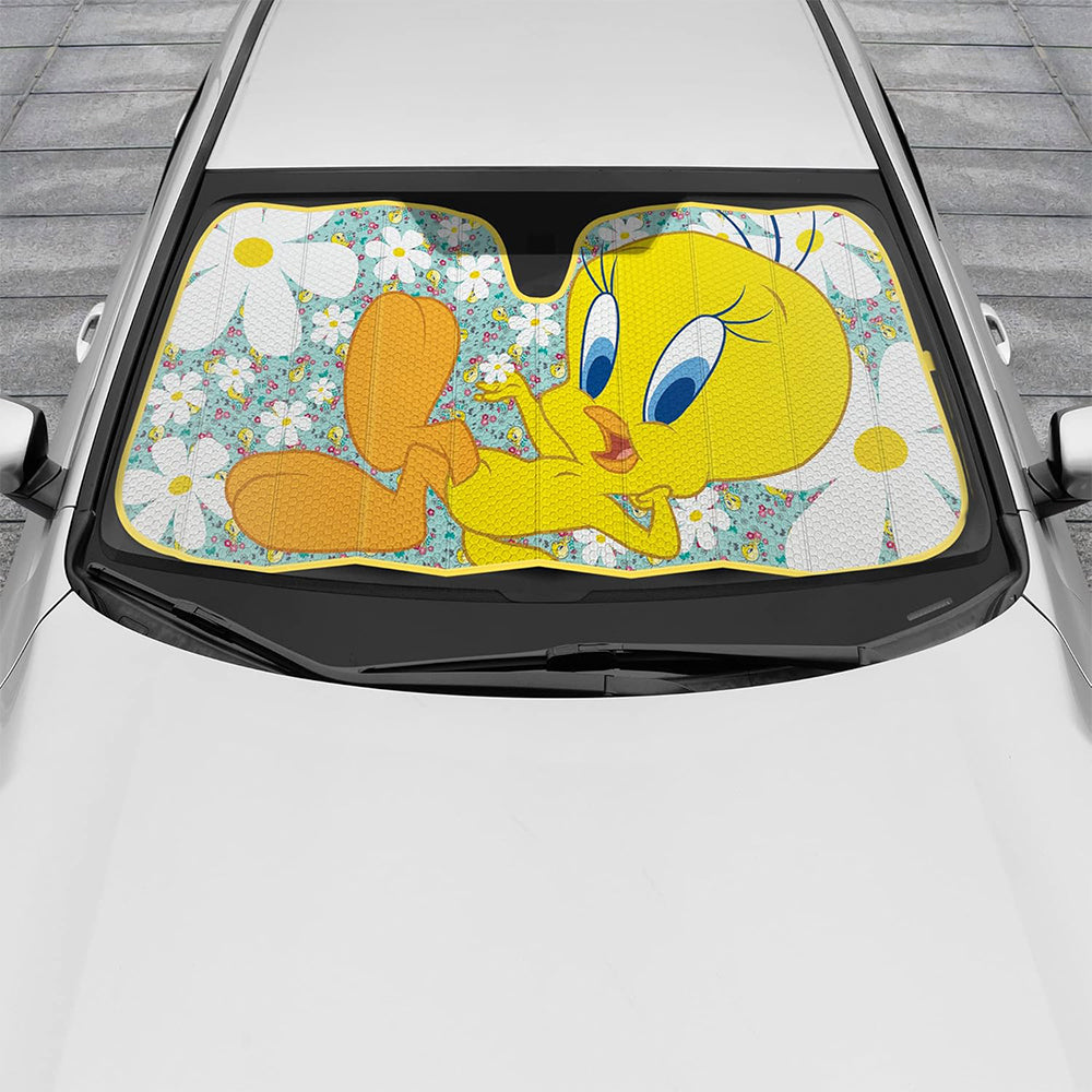Tapasol Piolin Looney Toons WBAS1103